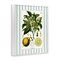 Stupell Industries Lemon Plant Green Stripes Framed Giclee, design by Lettered and Lined
